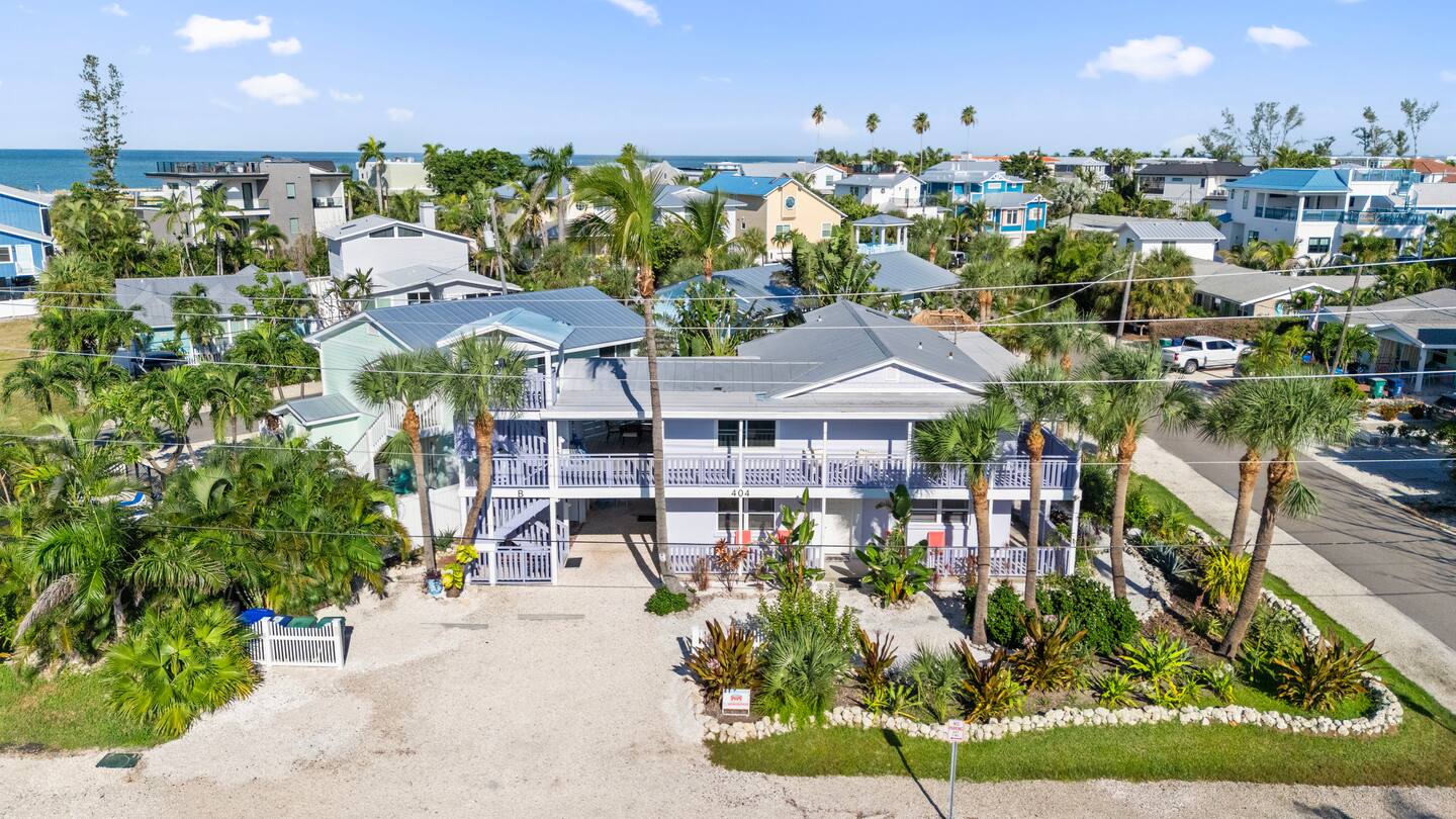 Purple Alamanda Ami Duplex Lower   2b/1b